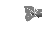 Logo A l'Aube de la lumière, client de Besign