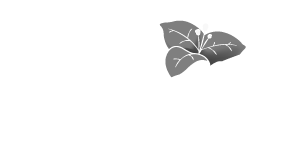 Logo A l'Aube de la lumière, client de Besign