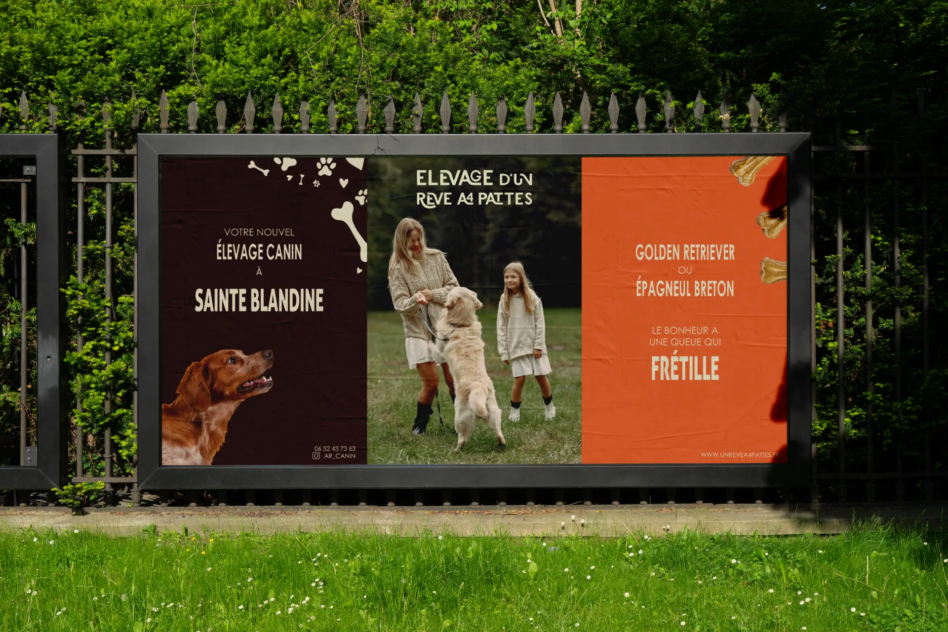 Publicité pour un élevage canin "Sainte Blandine" avec un Breton et un Golden Retriever, et le slogan "L'élevage d'un rêve à 4 pattes".
