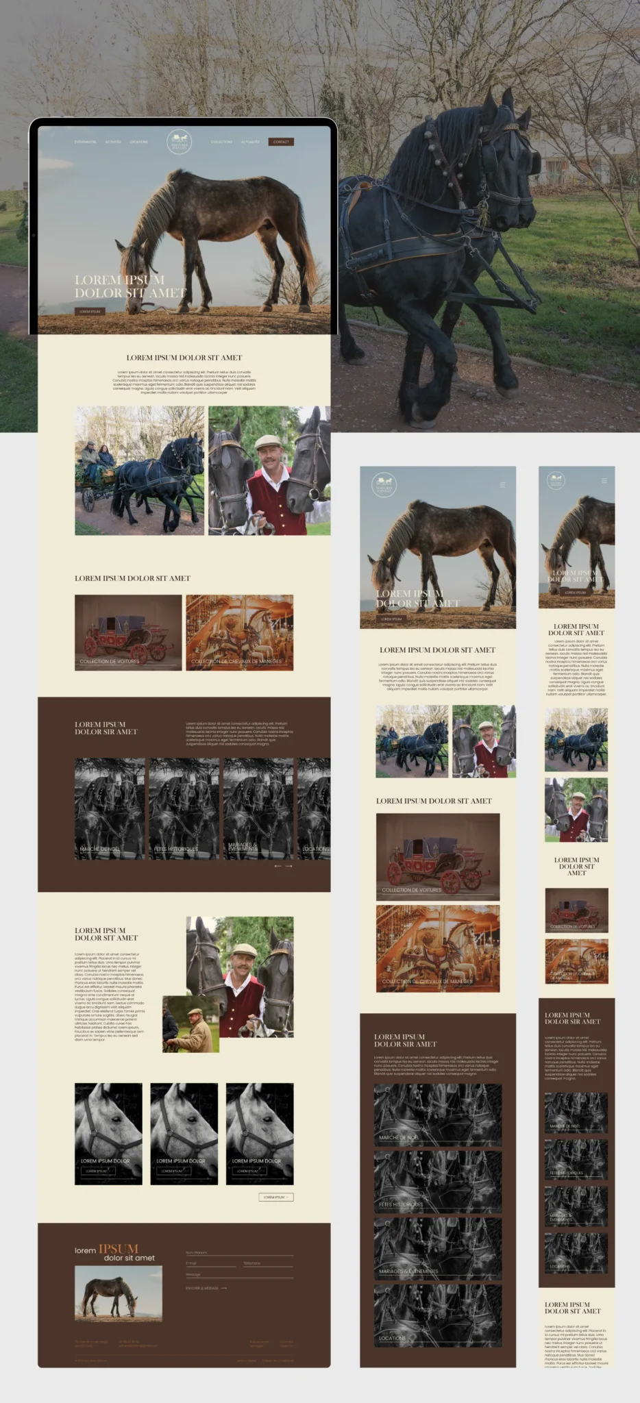 Montage de plusieurs images et maquettes web présentant des chevaux, des calèches et des personnes.