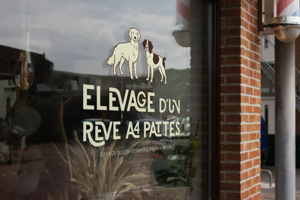 Vitrine d'élevage canin "Élevage d'un rêve à 4 pattes", avec deux chiens dessinés et la mention "Élevage Golden Retriever & Epagneul Breton".